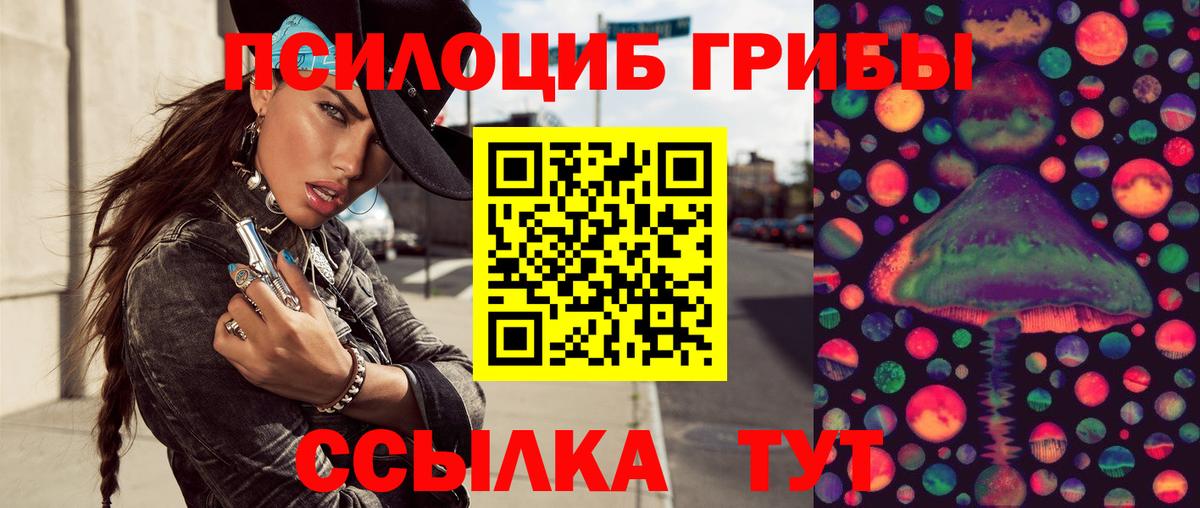 Псилоцибиновые грибы Psilocybine cubensis Лесной