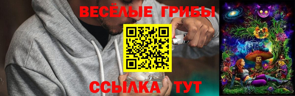Лесной  Галлюциногенные грибы Psilocybine cubensis  Вход с VPN 